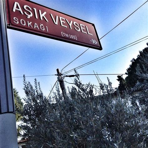 T­ü­r­k­i­y­e­­d­e­ ­Ş­a­i­r­ ­v­e­ ­Y­a­z­a­r­l­a­r­ı­n­ ­İ­s­m­i­n­i­ ­T­a­ş­ı­y­a­n­ ­S­o­k­a­k­l­a­r­